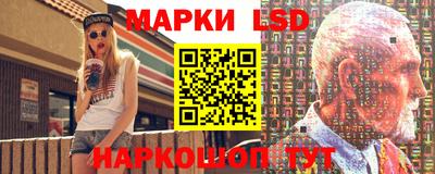 индика Гусь-Хрустальный